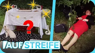 Hinterhalt bei Hundehochzeit 🐶​💍​😅 Wo steckt Bräutigamhund Sir Wuffalot? ​| Auf Streife | SAT.1