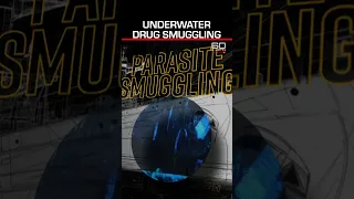 Drug cartels targeting the belly of cargo ships to smuggle drugs | 60 Minutes Australia