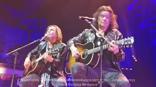 SPACE ODDITY (HQ) -  EUROPE live @ Utrecht (NL) 2023