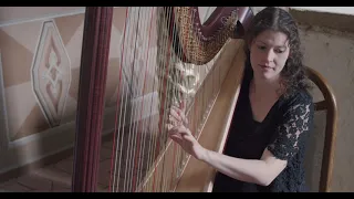 The swan (Le cygne) harp flute version - Camille Saint-Saens