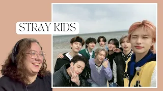 STRAY KIDS:  TIKTOK compilation because stays are just as unserious as stray kids Reaction ♡