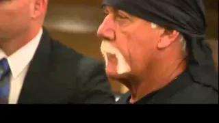 Hulk Hogan v. Gawker Pretrial Hearing Part 1 01/13/16