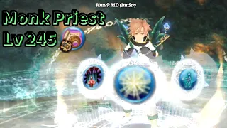 Toram Online - Monk Priest Lv 245 (Asura+Nemesis) Sustain and Prorate/Additional ATK Generate