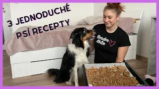 3 JEDNODUCHÉ TYPY NA PSÍ PAMLSKY 🍌🍗🐶  | SE PSY S LÁSKOU A RESPEKTEM