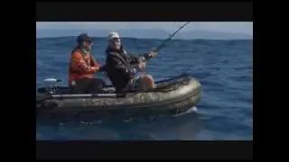 CATCH OF THE DAY: ALEX O'DONAHOE  (WORLD RECORD BREAKING MARLIN)