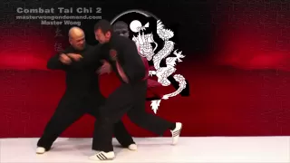 Tai Chi Combat - Applications Fight