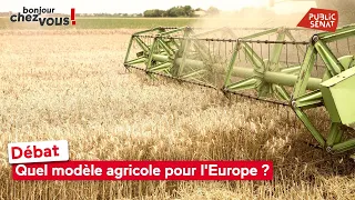 Débat : quel modèle agricole pour l'Europe