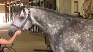 Inside Reining From Waggoner Ranch