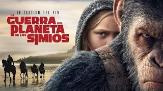 El Planeta de los Simios: La Guerra (2017) HD [1080p] Películas Completas en Español Latino