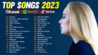 Top Songs 2024 ðŸ’Ž Adele, Miley Cyrus, rema, Shawn Mendes, Justin Bieber, Rihanna, Ava Max Vol.2