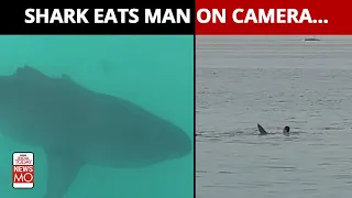 A Russian Tourist Was Eaten Alive By A Shark On Camera...