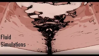 Fluid Simulation Compilation