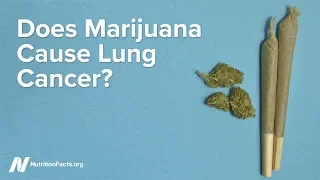 Does Marijuana Cause Lung Cancer?