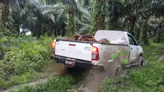 Hilux Single Cab 4X4 - Lekat