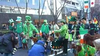 St. Patrick's Day parade in Tokyo - 2009 - Dog Clubs  (use HQ)