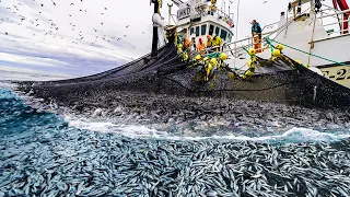 This is How Fisherman Catch Hundreds Tons Herring - Net Fishing, Big Catching on The Sea #05