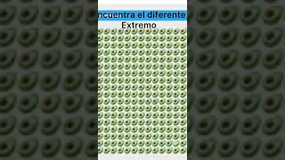 Encuentra el diferente aguacate no palta