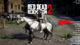 You'll Never Ride Arabian Horses If You Ride This N3 - RDR2