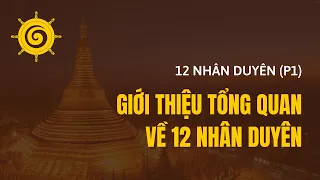 12 Nhân Duyên (Phần 1) - Giới Thiệu Tổng Quan