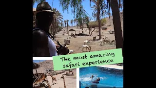 FUERTEVENTURA VLOG-PART 8/ OASIS WILDLIFE PARK /A FUN AFTERNOON AT THE BEST SAFARI PARK