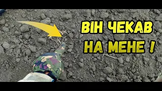 Рим,скіфи! Є круті знахідки! #minelab #metaldetecting #пошук_з_металошукачем #metaldetector #рек