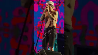 🎉 Red Hot Chili Peppers’ Unlimited Love World Tour! 🌐 Exclusive Concert Footage Inside!