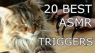 20 ASMR TRIGGER FOR SLEEP ASMR TAPPING WHISPER & FUNNY CAT