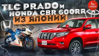 Toyota Land Cruiser PRADO дизель 2800 сс и Honda CBR 600RR с аукциона Японии