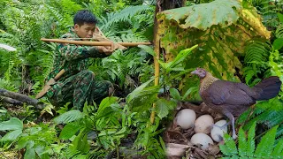 FULL VIDEO: 100 Days Survival, going to collect firewood, discovering wild chickens laying eggs