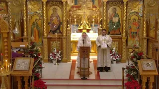 HVC 2022-01-07 Liturgy Nativity Рождество Христово