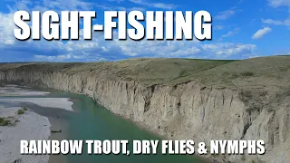 Sight-Fishing Rainbow Trout - Dry Flies & Dropper Nymphs on a Gravel Shelf. (Fly Fishing in Alberta)