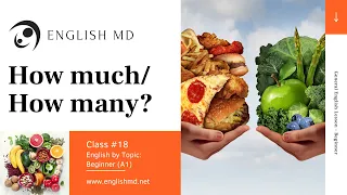 How much? / How many? | Beginner English for ESL Adults & Teens (A1) | Review