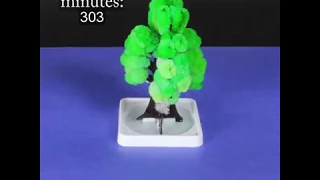 Magic Crystal Tree