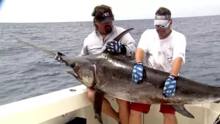 Season 2 Episode 3 | Nova Scotia Monsters, Bluefin Tuna Pt 1 | 203