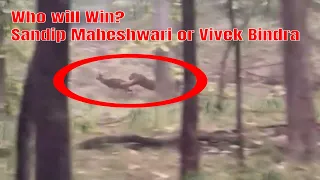 #vivekbindra Vs #sandeepmaheshwari | #Tadoba Tiger Hunting | Tadoba National Park | Lets go Vlogs