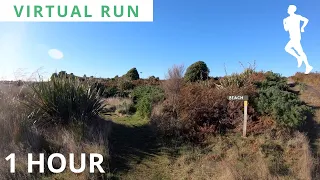 Virtual Run Long | 1 Hour Virtual Running Video For Treadmill