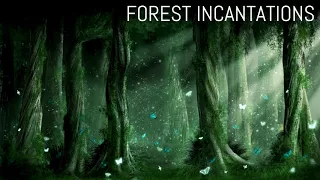 Forest Incantations - Alan Lee Silva
