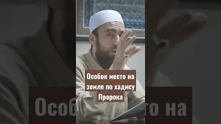 Особое место на земле #shorts #ислам