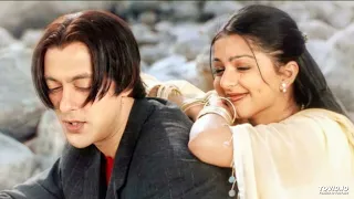 Tumse Milna Baatein Karna | Salman Khan, Bhoomika Chawla | Tere Naam | Udit Narayan, Alka Yagnik |