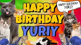 Happy Birthday Yuriy! Crazy Cats Say Happy Birthday Yuriy (Very Funny)