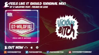 GT & Wildfire feat. Freaks In Love - Feels Like It Should (Original Mix)