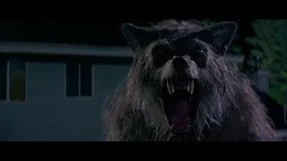 Bad Moon (1996) - Thor Attacks The Werewolf Scene