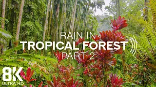 8K Tropical Rainforest - 8 HOURS of Relaxing Rain Sounds and Tropical Birds Chirping - Part #2 #2