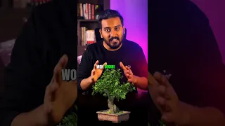 Bonsai Art of Japan #art #craft #shorts #factsinhindi | Praful Sharma