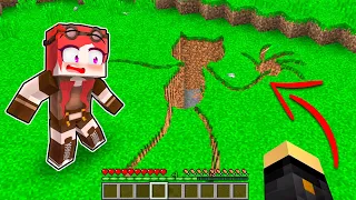 COSA C'È DENTRO IL BUCO PAUROSO DI CARTOON CAT? - MINECRAFT