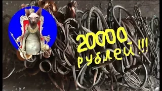 Сдаём медь.  Пришло время получить деньги!!! 100 кг!!!