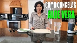 COMO CONGELAR ALOE VERA NATURAL