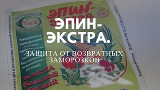 Эпин - экстра! Как защитить растения от возвратных заморозков.