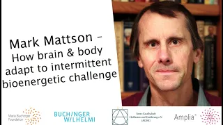 Mark Mattson: How Brain & Body adapt to intermittent Bioenergetic Challenge I ÄGHE Fasting Congress