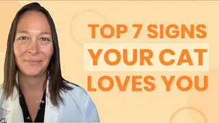 Top 7 Signs Your Cat Loves You (A Vet's Perspective)